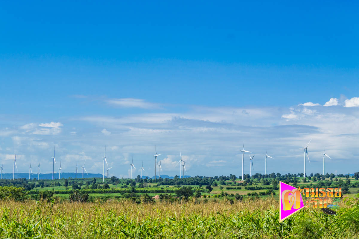 ตามรอยตะวัน